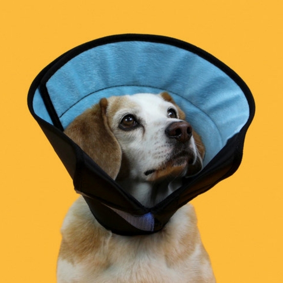 Other - Soft Dog Recovery Cone Calmer Extended-Use Comfort Collar, 12" - 16" (Medium)